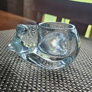 Glass Cat